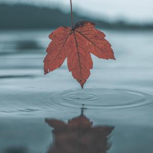 女人被舔荫蒂囗交视频
